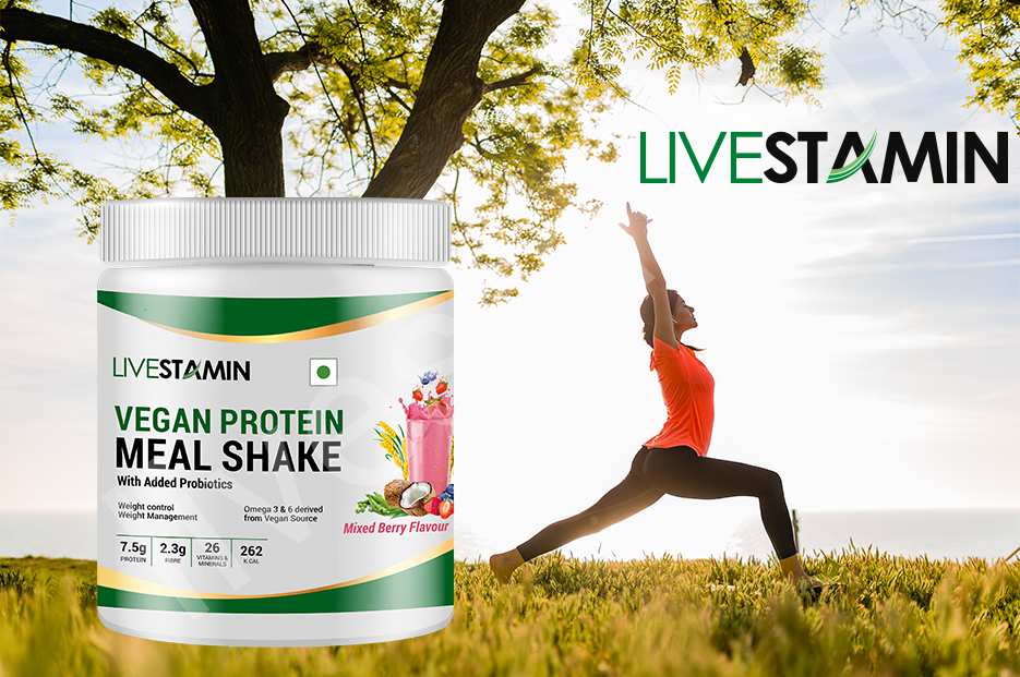 Vegan Plant Based Nutritional Meal Replacement Shake (Mixed Berry Flavour)